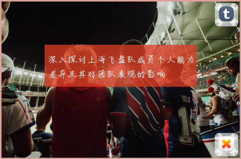 深入探讨上海飞盘队成员个人能力差异及其对团队表现的影响