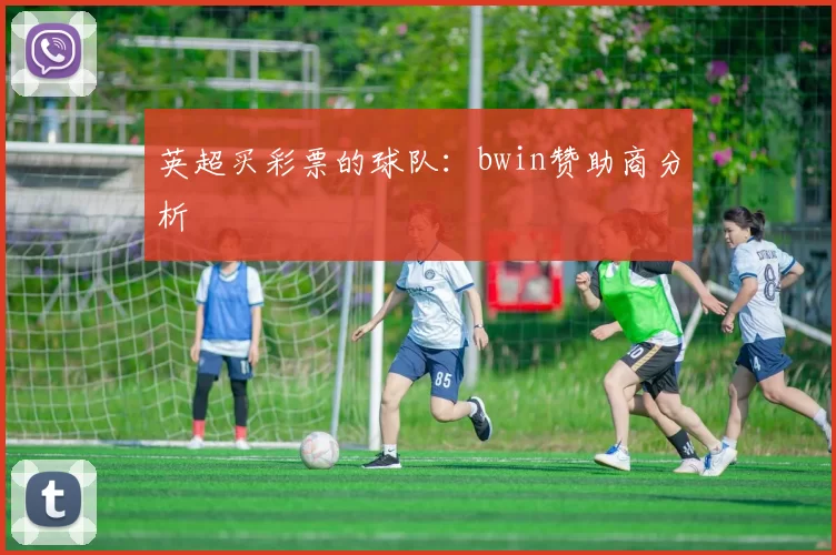 英超买彩票的球队：bwin赞助商分析