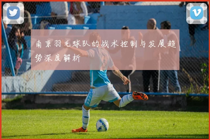 南京羽毛球队的战术控制与发展趋势深度解析