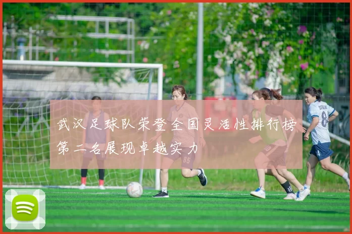 武汉足球队荣登全国灵活性排行榜第二名展现卓越实力