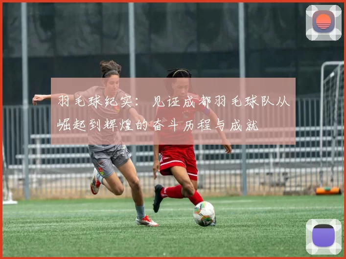 羽毛球纪实：见证成都羽毛球队从崛起到辉煌的奋斗历程与成就