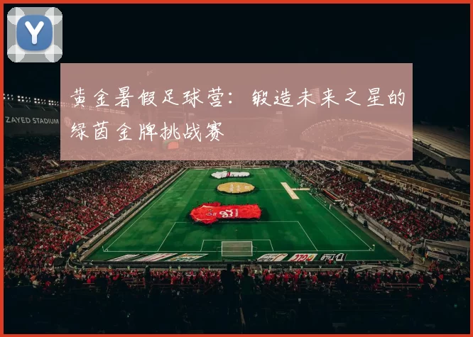 黄金暑假足球营：锻造未来之星的绿茵金牌挑战赛