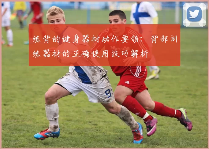练背的健身器材动作要领：背部训练器材的正确使用技巧解析
