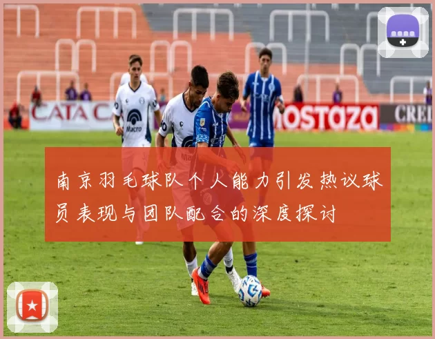 南京羽毛球队个人能力引发热议球员表现与团队配合的深度探讨