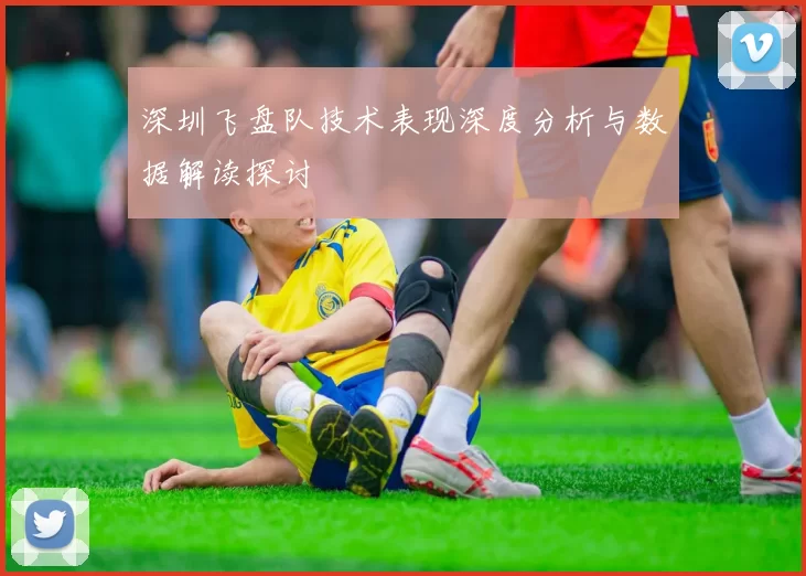 深圳飞盘队技术表现深度分析与数据解读探讨