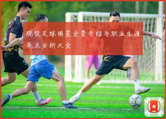 现役足球明星全景介绍与职业生涯亮点分析大全