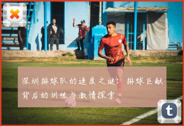 深圳排球队的速度之谜：排球巨献背后的训练与激情探索