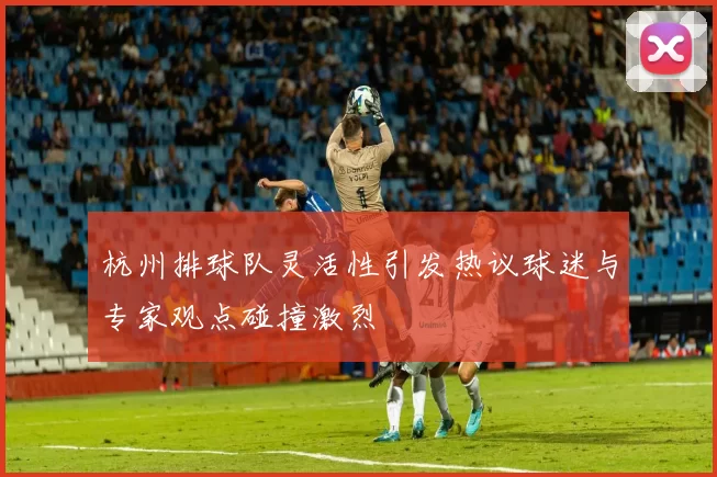 杭州排球队灵活性引发热议球迷与专家观点碰撞激烈